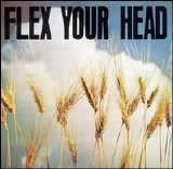 Various artists - Flex Your Head
