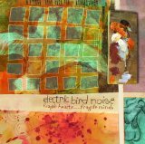 Electric Bird Noise - fragile hearts...fragile minds