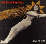 Dog Faced Hermans - Hum Of Life
