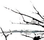 Tenhi - Väre