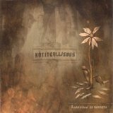 Kotiteollisuus - Rakastaa / Ei Rakasta CDS