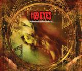 The 69 Eyes - Wasting The Dawn