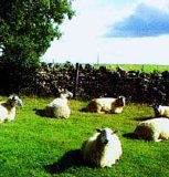 The KLF - Chill Out
