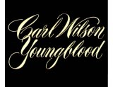 Carl Wilson - Youngblood