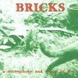 Bricks - A Microphone and a Box of Dirt
