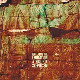 Various artists - Entering the Levitation: A Tribute to Skepticism disco 2