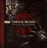 Fragments of Unbecoming - Sterling Black Icon