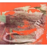 Deerhunter - Fluorescent Grey