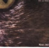 Pearl Jam - Off He Goes [7" VINYL]