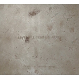 Joy Division - Love Will Tear Us Apart