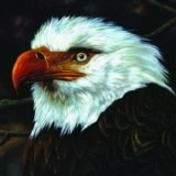 Mogwai - The Hawk is Howling
