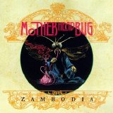 Motherhead Bug - zambodia