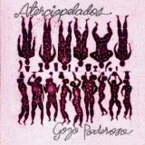 Aterciopelados - Gozo Poderoso