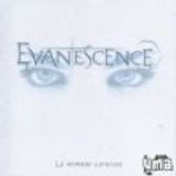Evanescence - Le Nouveau Gothique (The Best Hits)