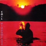Coil - Windowpane