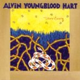 Alvin Youngblood Hart - Territory