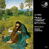 Cantus Cölln; Konrad Junghänel - Bach: Actus Tragicus