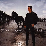 denez prigent - irvi