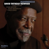 David "Fathead" Newman - Diamondhead