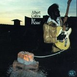 Albert Collins - Ice Pickin'