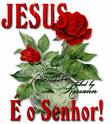 Various artists - MUSICAS EVANGELICAS