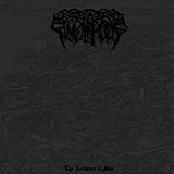 Sinpularctos - The Voidance of Man