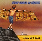 From Grass To Cheese - Even If I Fall