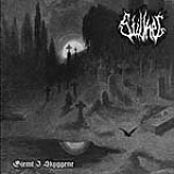Stillhet - Gjemt I Skyggene