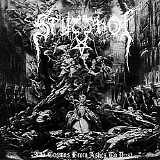 Stutthof - And Cosmos from Ashes to Dust...