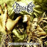 Vedonist - Awaking to Immortality