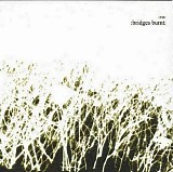 Vomit Orchestra - Bridges Burnt