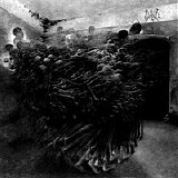 Wolok - Servum Pecus