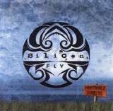 Silicon Fly - Encontrarle La Vuelta