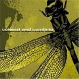 Coheed And Cambria - The Second Stage Turbine Blade