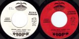 James Robert Ambrose - Brand New Sunny Day/Brand New Sunny Day (US Promo)