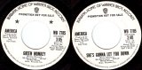 America - Green Monkey/She's Gonna Let You Down (US Promo)