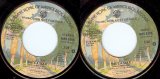 America - She's A Liar/She's A Liar (US Promo)