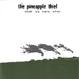 The Pineapple Thief - What We Have Sown