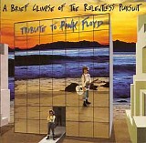 Various artists - A Brief Glimpse of the Relentless Pursuit - Tribute to Pink Floyd