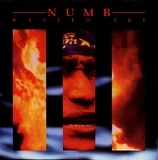 Numb - Wasted Sky