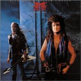 The Michael Schenker Group - Perfect Timing