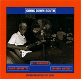 Various Blues - Going Down South