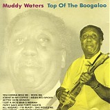 Muddy Waters - Top of the Boogaloo