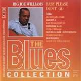 Big Joe Williams - Baby Please Don't Go - The Blues Collection #36