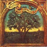 Steeleye Span - Now We Are Six