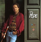 Pepe Willberg - Tulit valona maailmaan