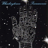 Whiskeytown - Pneumonia