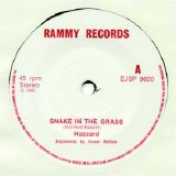 Hazzard - Snake In the Grass 7''