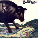 Bull Angus - Bull Angus