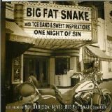 Big Fat Snake with TCB Band & Sweet Inspirations - One Night Of Sin